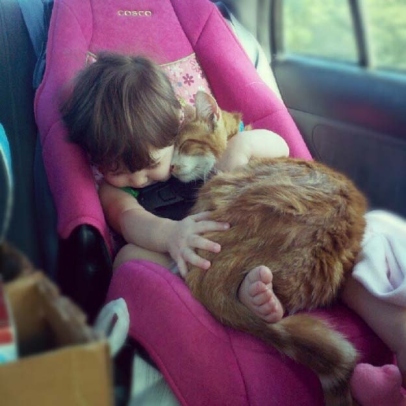 A very young pale-skinned child is sitting in a pink car seat, apparently asleep, and cuddling a large marmalade cat (almost as big as the child!) who is also apparently asleep.  Awww.